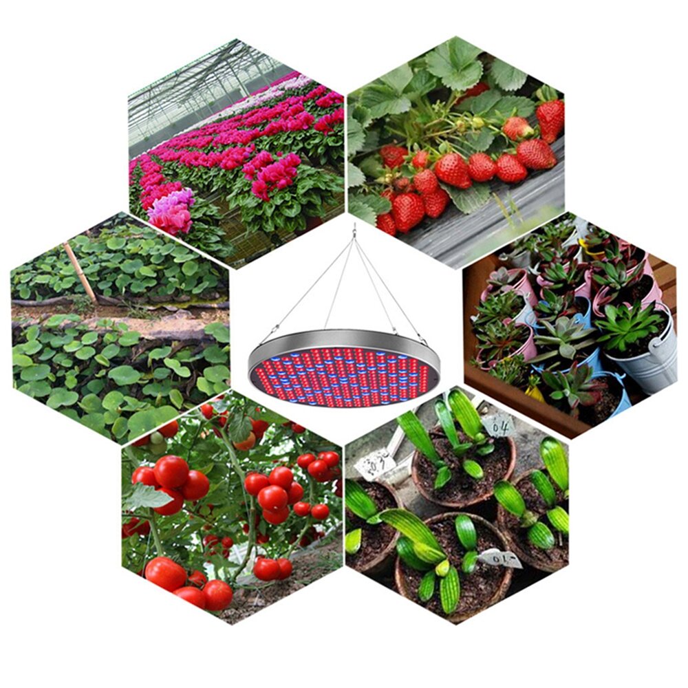 35W UFO LED Grow Light, Full Spectrum for Indoor Plants, Flowers, Seeding, Hydroponic Greenhouse, AC85-265V, 250 LEDs