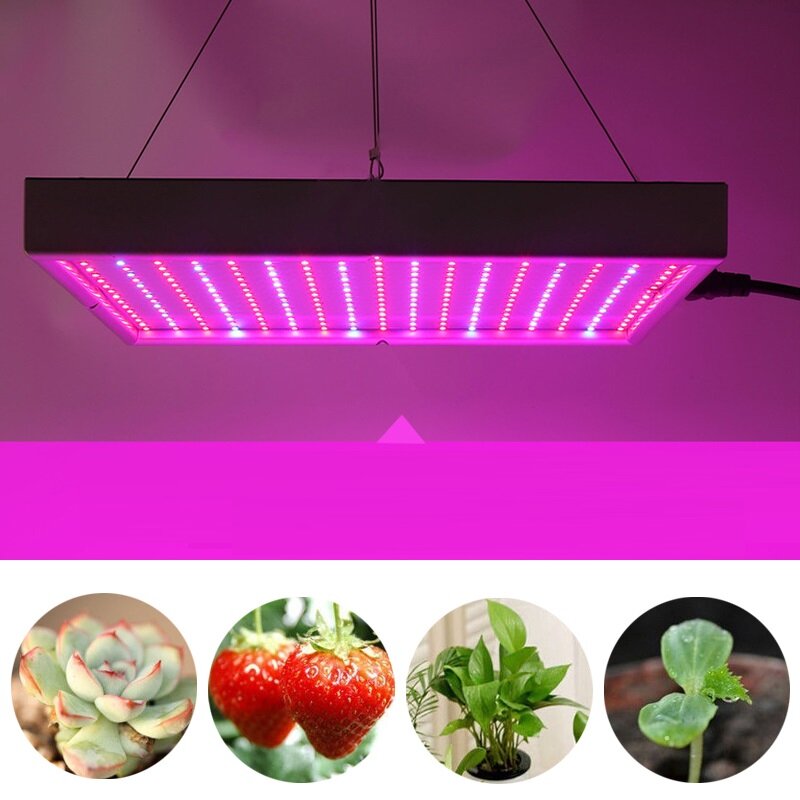 60W LED Grow Light for Indoor Plants, Veg & Flowers - AC85-265V, 289 LEDs