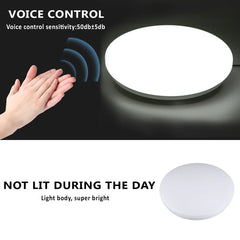 220V Voice Control LED Ceiling Light, 12/18/24W Ultra Thin Flush Mount, Round for Kitchen