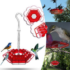 Hummingbird Feeder with Perch, Built-In Ant Moat, Easy to Fill and Clean