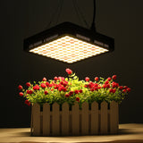 300W LED Grow Light Full Spectrum for Hydroponic Indoor Plants, Flowers, Bloom Lamp AC85-265V